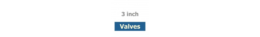 3 inch Valves